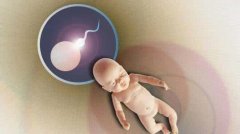 无精症和死精症有什么区别