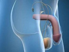 阳痿的检查项目有哪