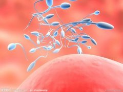 汉中哪家医院可以检查精子成活率