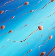 汉中贝康男科:前列腺炎是怎么影响男性生育的